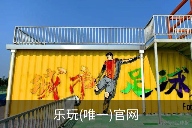 乐玩(唯一)官网公司简介图片